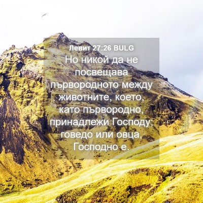 Picture 04 - Левит 27:26 BULG - Но никой да не посвещава - Bible Verse Picture