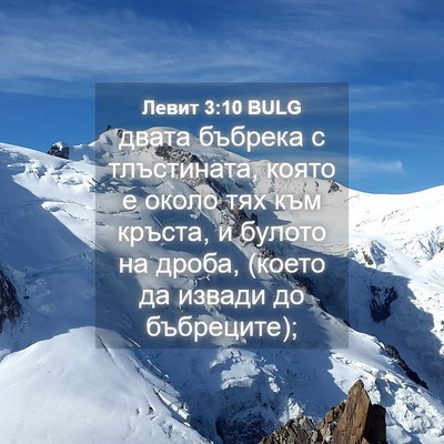 Picture 04 - Левит 3:10 BULG - двата бъбрека с - Bible Verse Picture
