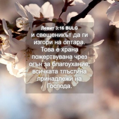 Picture 04 - Левит 3:16 BULG - и свещеникът да ги изгори - Bible Verse Picture