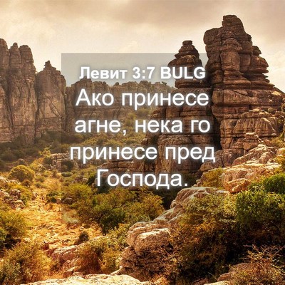Picture 04 - Левит 3:7 BULG - Ако принесе агне, нека го - Bible Verse Picture