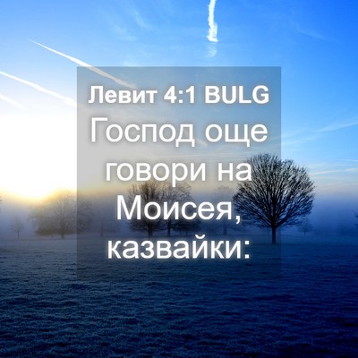 Picture 04 - Левит 4:1 BULG - Господ още говори на - Bible Verse Picture