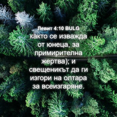 Picture 04 - Левит 4:10 BULG - както се изважда от юнеца, - Bible Verse Picture