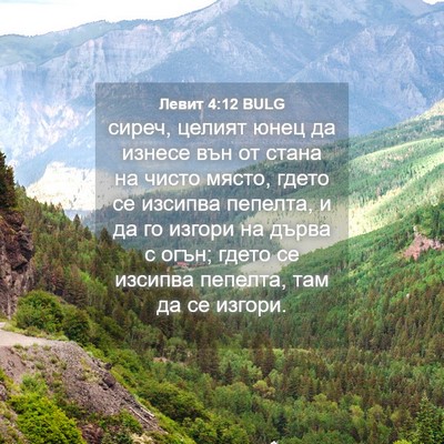 Picture 04 - Левит 4:12 BULG - сиреч, целият юнец да - Bible Verse Picture