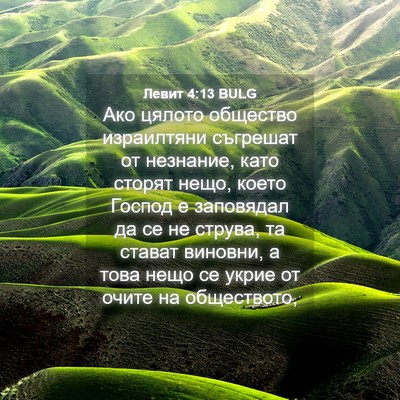 Picture 04 - Левит 4:13 BULG - Ако цялото общество - Bible Verse Picture