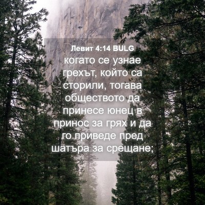 Picture 04 - Левит 4:14 BULG - когато се узнае грехът, - Bible Verse Picture