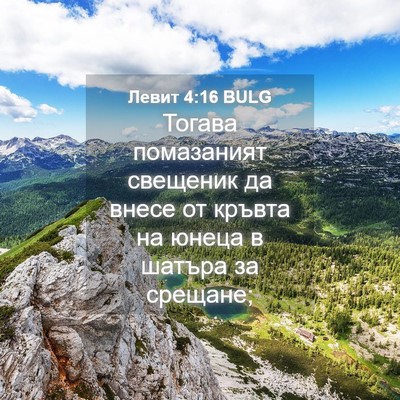 Picture 04 - Левит 4:16 BULG - Тогава помазаният - Bible Verse Picture