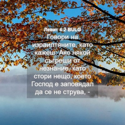 Picture 04 - Левит 4:2 BULG - Говори на израилтяните, - Bible Verse Picture