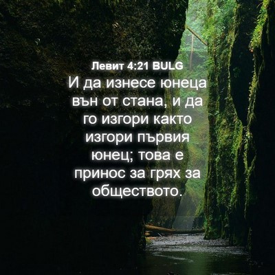Picture 04 - Левит 4:21 BULG - И да изнесе юнеца вън от - Bible Verse Picture