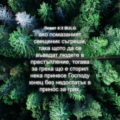 Picture 04 - Левит 4:3 BULG - ако помазаният свещеник - Bible Verse Picture