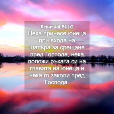 Picture 04 - Левит 4:4 BULG - Нека принесе юнеца при - Bible Verse Picture