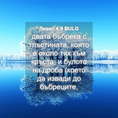 Picture 04 - Левит 4:9 BULG - двата бъбрека с - Bible Verse Picture