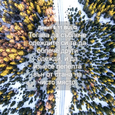 Picture 04 - Левит 6:11 BULG - Тогава да съблече одеждите - Bible Verse Picture