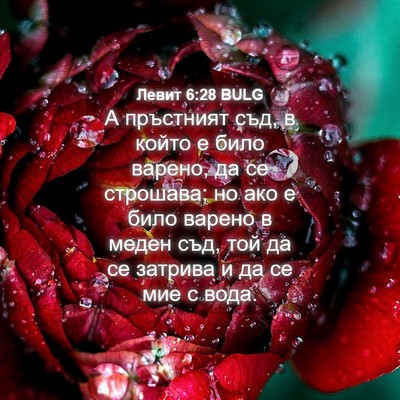 Picture 04 - Левит 6:28 BULG - А пръстният съд, в който е - Bible Verse Picture