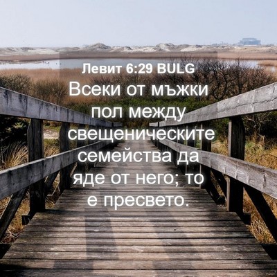 Picture 04 - Левит 6:29 BULG - Всеки от мъжки пол между - Bible Verse Picture