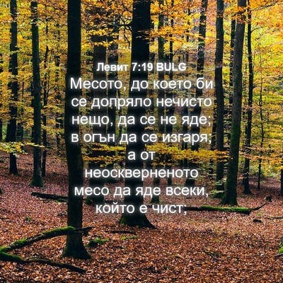 Picture 04 - Левит 7:19 BULG - Месото, до което би се - Bible Verse Picture