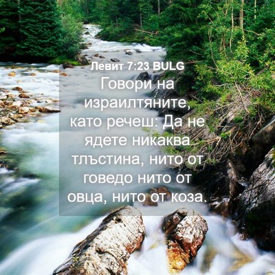 Picture 04 - Левит 7:23 BULG - Говори на израилтяните, - Bible Verse Picture