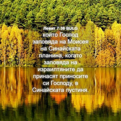 Picture 04 - Левит 7:38 BULG - който Господ заповяда на - Bible Verse Picture