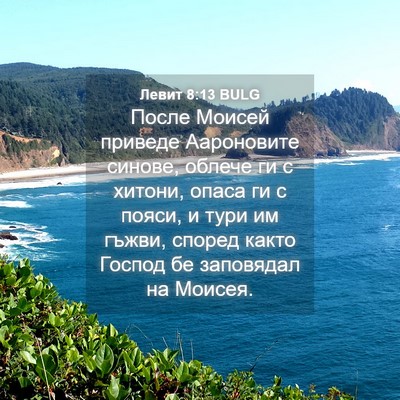 Picture 04 - Левит 8:13 BULG - После Моисей приведе - Bible Verse Picture