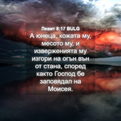 Picture 04 - Левит 8:17 BULG - А юнеца, кожата му, месото - Bible Verse Picture