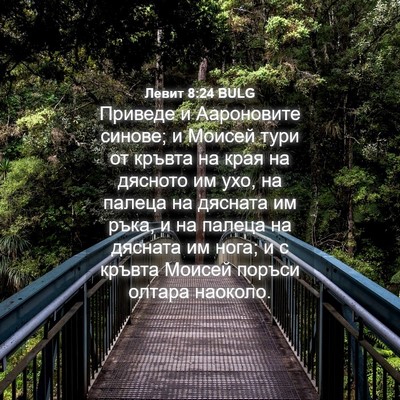 Picture 04 - Левит 8:24 BULG - Приведе и Аароновите - Bible Verse Picture