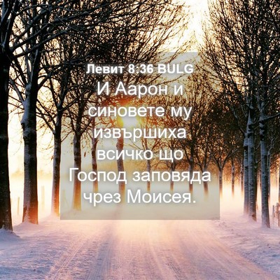 Picture 04 - Левит 8:36 BULG - И Аарон и синовете му - Bible Verse Picture