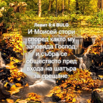 Picture 04 - Левит 8:4 BULG - И Моисей стори според - Bible Verse Picture