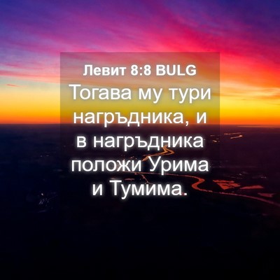 Picture 04 - Левит 8:8 BULG - Тогава му тури нагръдника, - Bible Verse Picture