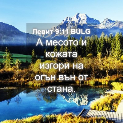 Picture 04 - Левит 9:11 BULG - А месото и кожата изгори на - Bible Verse Picture