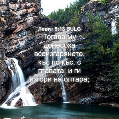 Picture 04 - Левит 9:13 BULG - Тогава му донесоха - Bible Verse Picture