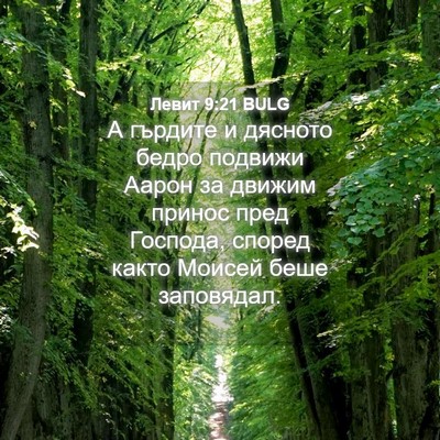 Picture 04 - Левит 9:21 BULG - А гърдите и дясното бедро - Bible Verse Picture