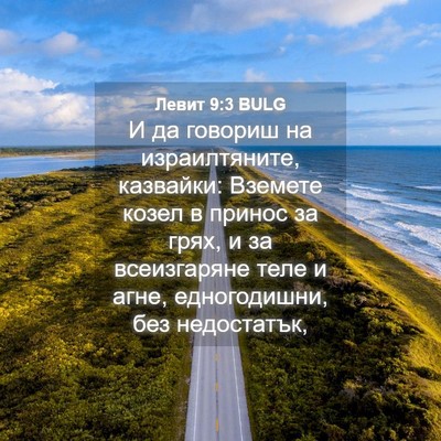 Picture 04 - Левит 9:3 BULG - И да говориш на - Bible Verse Picture