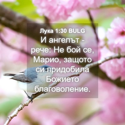Picture 04 - Лука 1:30 BULG - И ангелът - рече: Не бой се, - Bible Verse Picture