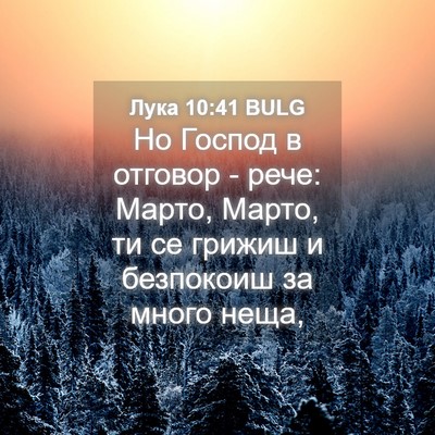 Picture 04 - Лука 10:41 BULG - Но Господ в отговор - рече: - Bible Verse Picture