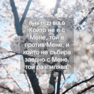 Picture 04 - Лука 11:23 BULG - Който не е с Мене, той е - Bible Verse Picture
