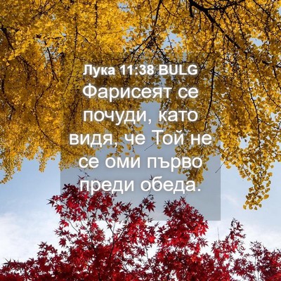 Picture 04 - Лука 11:38 BULG - Фарисеят се почуди, като - Bible Verse Picture
