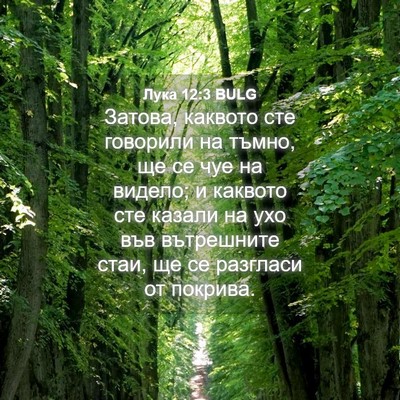 Picture 04 - Лука 12:3 BULG - Затова, каквото сте - Bible Verse Picture