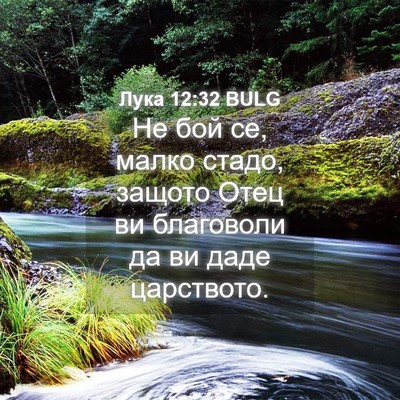 Picture 04 - Лука 12:32 BULG - Не бой се, малко стадо, - Bible Verse Picture