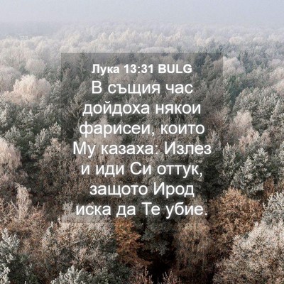 Picture 04 - Лука 13:31 BULG - В същия час дойдоха някои - Bible Verse Picture