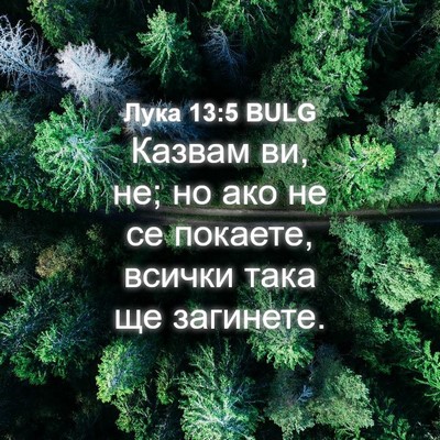 Picture 04 - Лука 13:5 BULG - Казвам ви, не; но ако не се - Bible Verse Picture