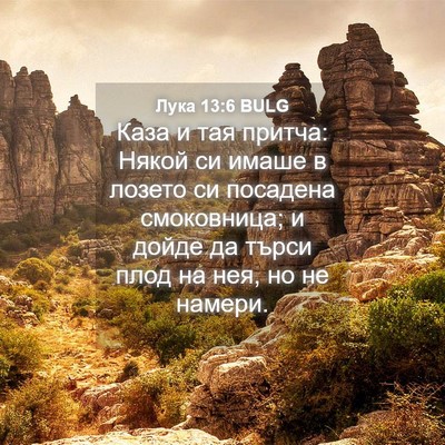 Picture 04 - Лука 13:6 BULG - Каза и тая притча: Някой си - Bible Verse Picture