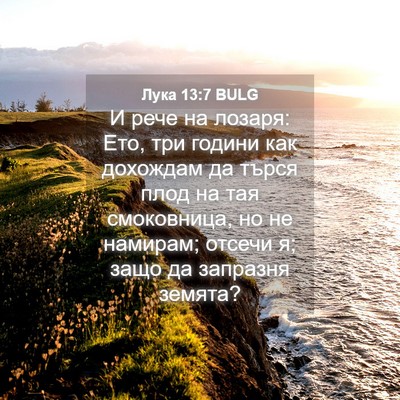 Picture 04 - Лука 13:7 BULG - И рече на лозаря: Ето, три - Bible Verse Picture