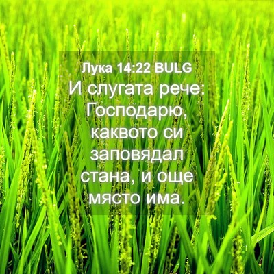 Picture 04 - Лука 14:22 BULG - И слугата рече: Господарю, - Bible Verse Picture