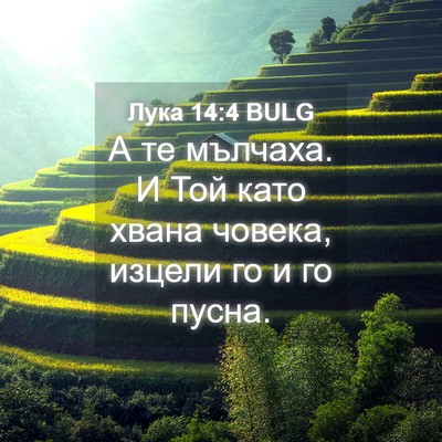 Picture 04 - Лука 14:4 BULG - А те мълчаха. И Той като - Bible Verse Picture