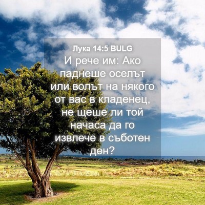 Picture 04 - Лука 14:5 BULG - И рече им: Ако паднеше - Bible Verse Picture