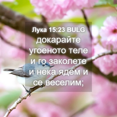 Picture 04 - Лука 15:23 BULG - докарайте угоеното теле и - Bible Verse Picture