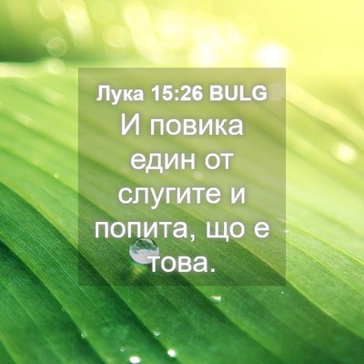 Picture 04 - Лука 15:26 BULG - И повика един от слугите и - Bible Verse Picture