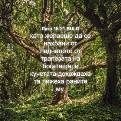 Picture 04 - Лука 16:21 BULG - като желаеше да се нахрани - Bible Verse Picture