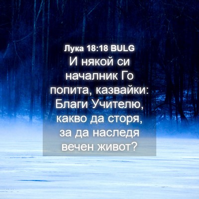Picture 04 - Лука 18:18 BULG - И някой си началник Го - Bible Verse Picture