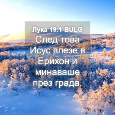 Picture 04 - Лука 19:1 BULG - След това Исус влезе в - Bible Verse Picture