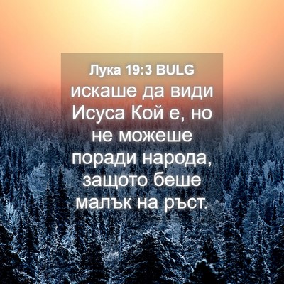 Picture 04 - Лука 19:3 BULG - искаше да види Исуса Кой е, - Bible Verse Picture